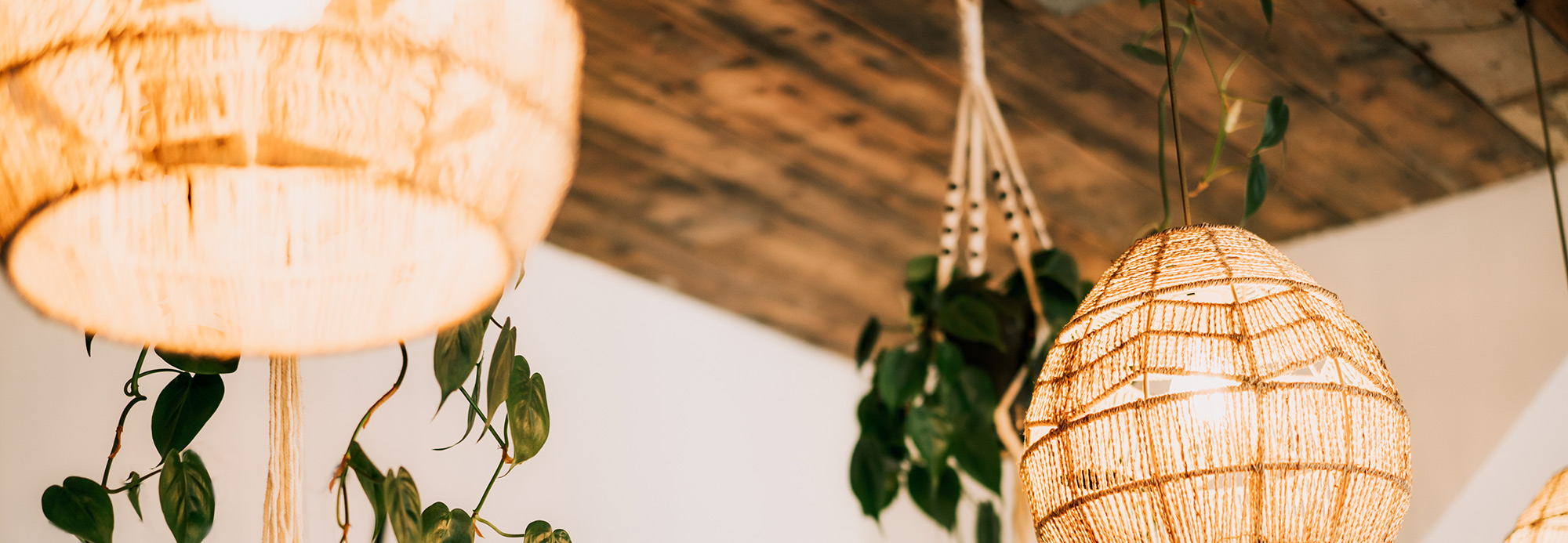 Jute chandeliers and houseplants on display